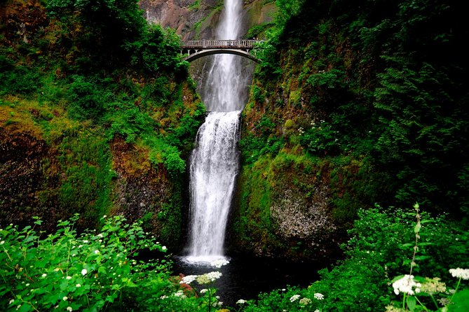 Columbia River Gorge Waterfalls & Mt Hood Tour from Portland, OR - Latourell Falls brings you close to the basalt cliffs