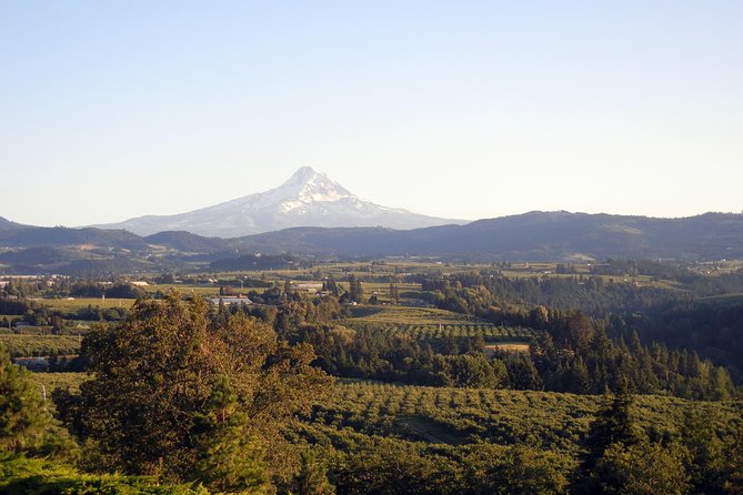 Columbia River Gorge Waterfalls & Mt Hood Tour from Portland, OR - Mount Hood National Forest changes the scale of the day