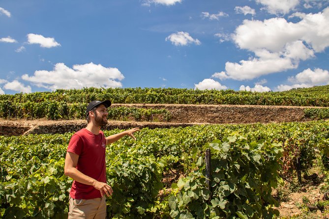 Complete Douro Valley Wine Tour with Lunch, Wine Tastings and River Cruise - What makes this Douro day trip worth your time