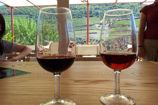 Complete Douro Valley Wine Tour with Lunch, Wine Tastings and River Cruise - The winding road to Pinhão