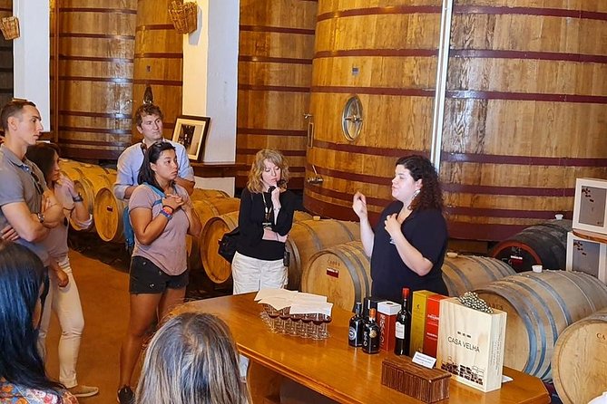 Complete Douro Valley Wine Tour with Lunch, Wine Tastings and River Cruise - The second winery in Folgosa
