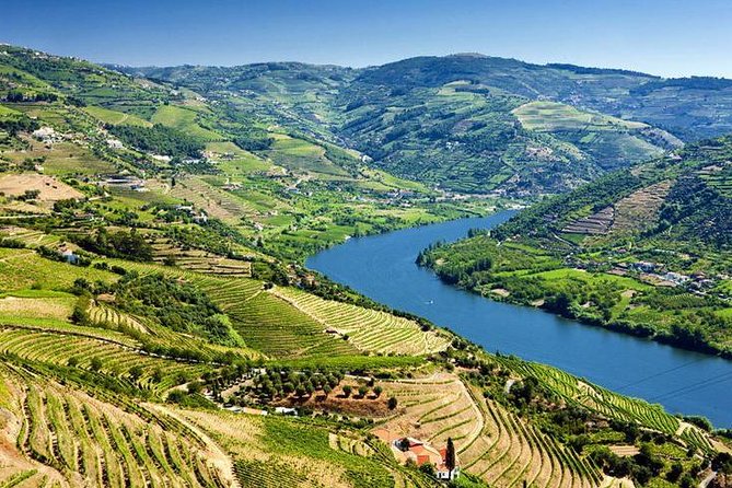 Complete Douro Valley Wine Tour with Lunch, Wine Tastings and River Cruise - Timing, group size, and guide quality