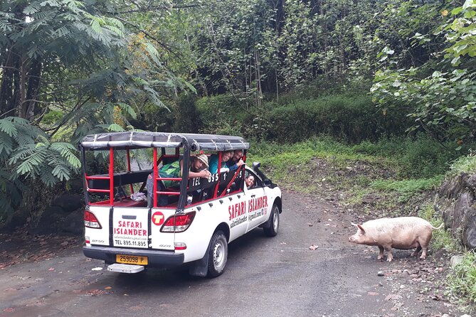 Crossing Island of Tahiti 4x4 Mountain, Waterfall, River, Basins - The bakery stop gives lunch a local feel