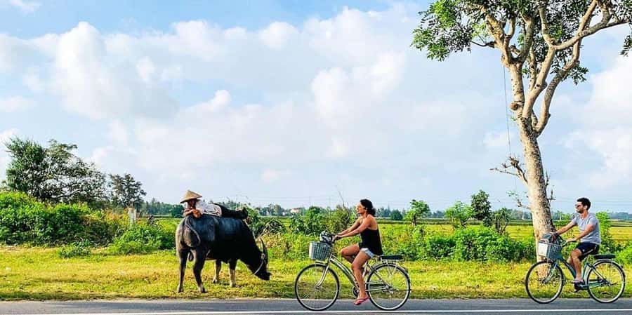 Da Nang or Hoi An: Countryside Bike & Basket Boat Tour - Quick take: why this half-day has real appeal