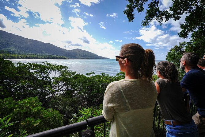 Daintree, Cape Tribulation & River Cruise from Port Douglas - Key points at a glance