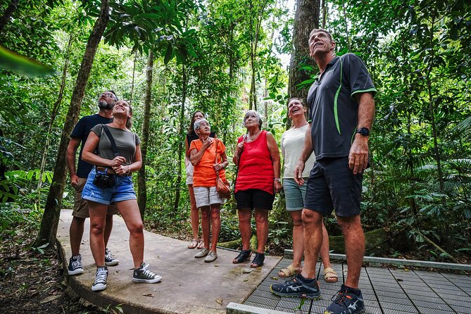 Daintree, Cape Tribulation & River Cruise from Port Douglas - Why this Daintree day works so well