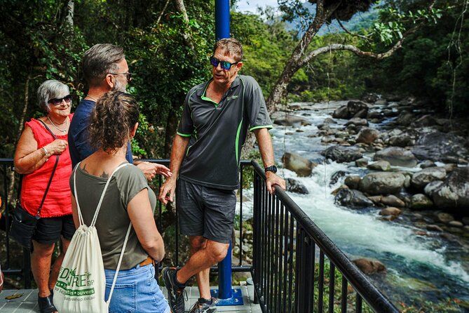 Daintree, Cape Tribulation & River Cruise from Port Douglas - Search for crocodiles on the Daintree River