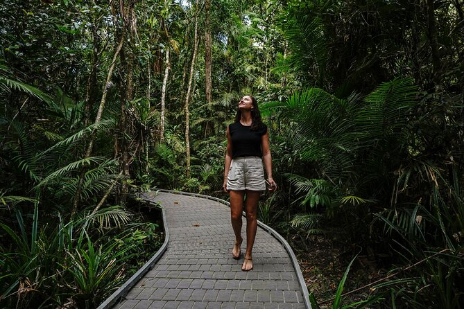 Daintree, Cape Tribulation & River Cruise from Port Douglas - Rainforest boardwalks show how the forest functions