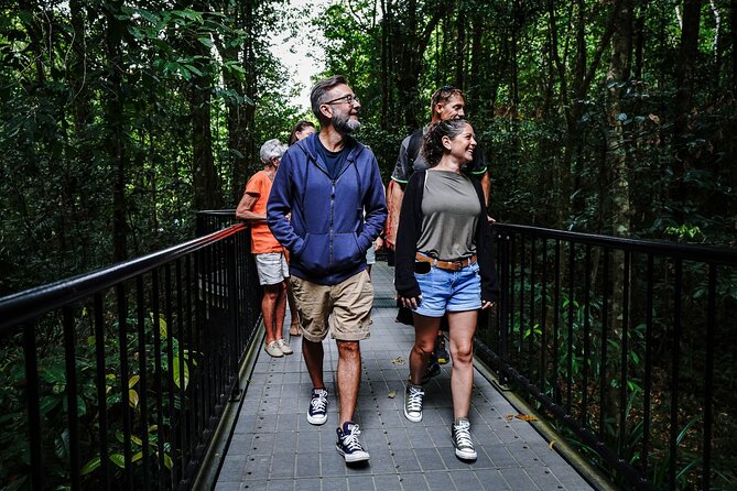 Daintree, Cape Tribulation & River Cruise from Port Douglas - Cape Tribulation gives you a short taste of the coast