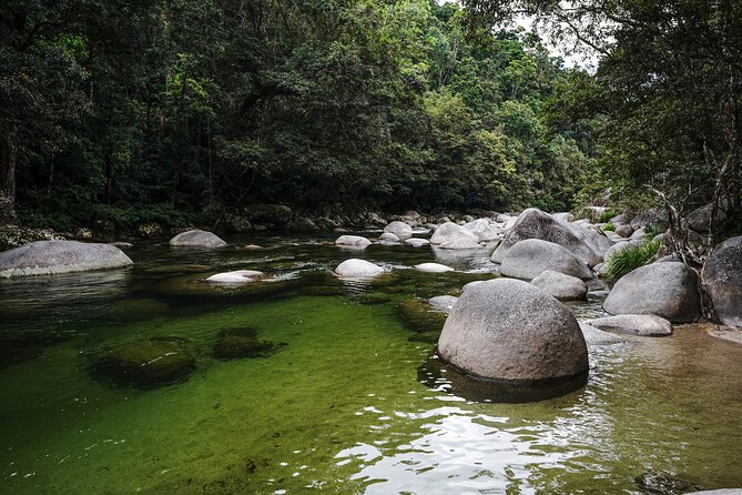 Daintree, Cape Tribulation & River Cruise from Port Douglas - Tropical fruit ice cream is a pleasant extra