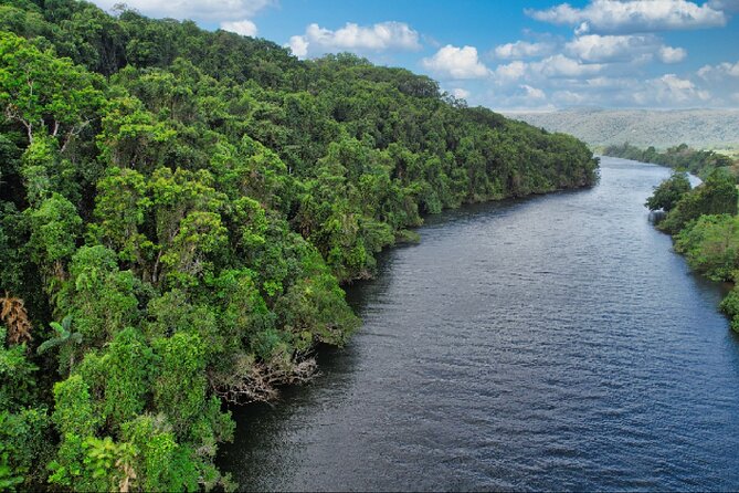 Daintree River Cruise - Why the bonus cruise changes the value