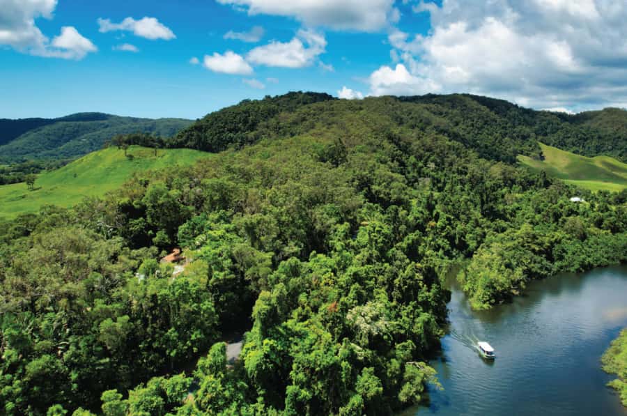 Daintree: River Rainforest Crocodile & Wildlife Cruise (DV) - Key points before you book