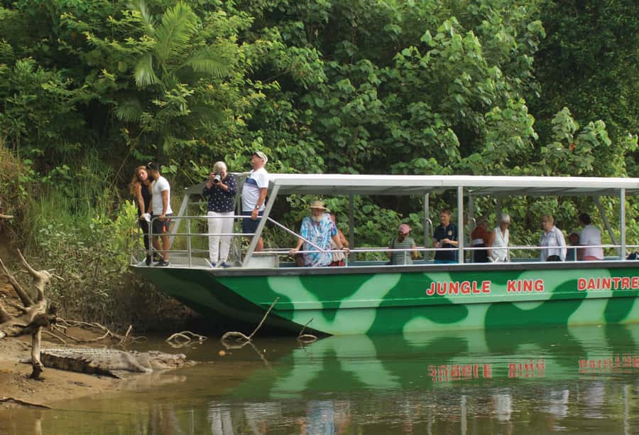 Daintree: River Rainforest Crocodile & Wildlife Cruise (DV) - The guides make the hour worthwhile