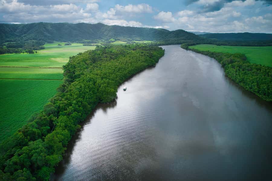 Daintree River Rainforest: Crocodile & Wildlife Cruises (DG) - Starting at the Lower Daintree gateway