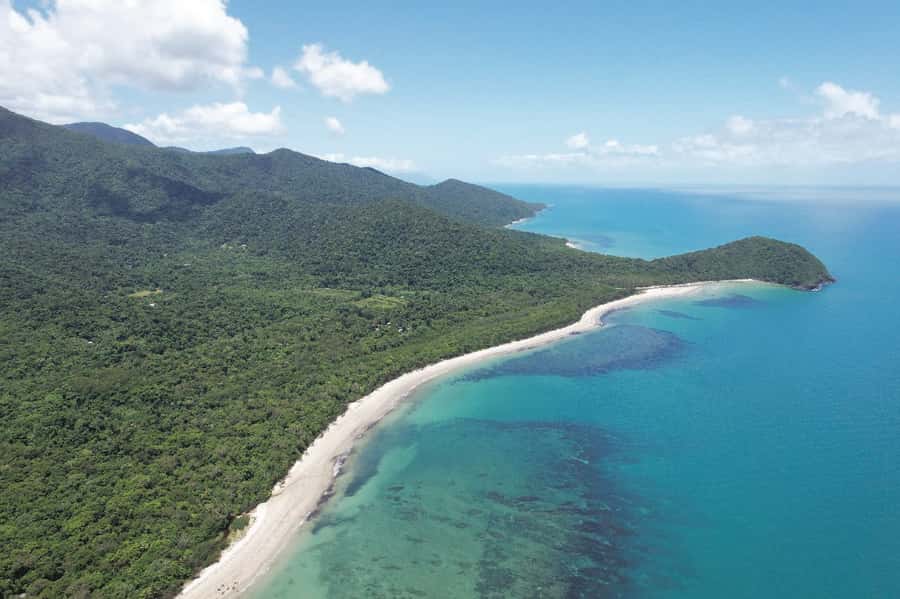 Daintree River Rainforest: Crocodile & Wildlife Cruises (DG) - Guide quality and the feel of the cruise