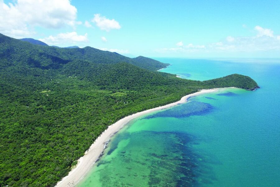 Daintree River Rainforest: Crocodile & Wildlife Cruises (DG) - Who will get the most from this $27 experience