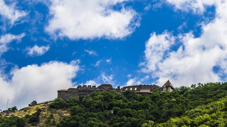 Danube Bend: Private 8-Hour Full Board Tour from Budapest - Who should book this Danube Bend tour?