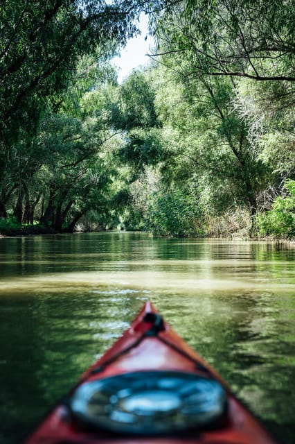 Danube Delta: Boat Tour Through the Water Lily Reserve - What the two hours feel like