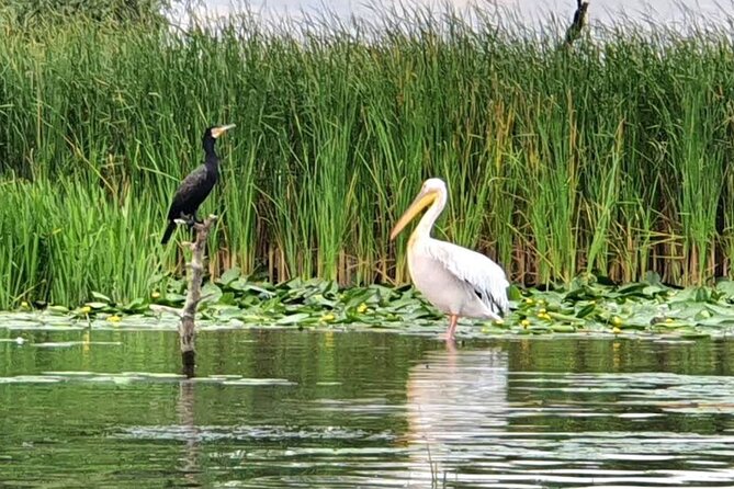 Danube Delta - Private Tour with Boat Trip & Traditional Lunch - The guides make the long day easier