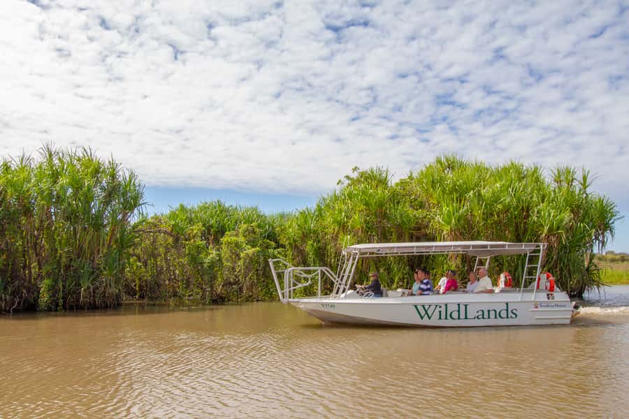 Darwin: Adelaide River Half-Day Jumping Crocs Cruise - Fogg Dam shifts the focus from spectacle to habitat
