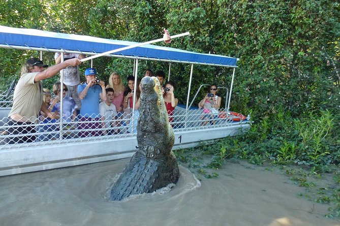 Darwin: Adelaide River Queen Original Jumping Crocodile Cruise - Is $43.03 good value?