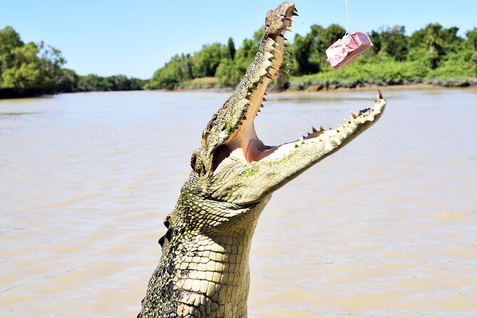 Darwin: Adelaide River Queen Original Jumping Crocodile Cruise - Choosing between the upper and lower decks