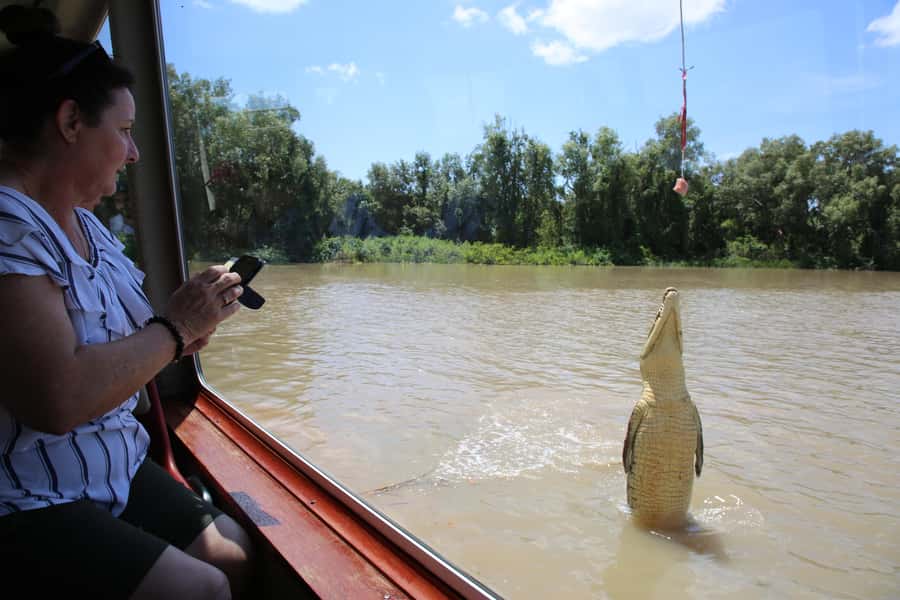Darwin: Adelaide River Queen Original Jumping Crocodiles - Why the Adelaide River Queen gets so close to the action