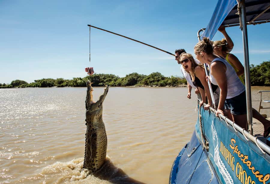 Darwin: Jumping Crocodile River Cruise with Shuttle Bus - Seventy-five minutes on the Adelaide River
