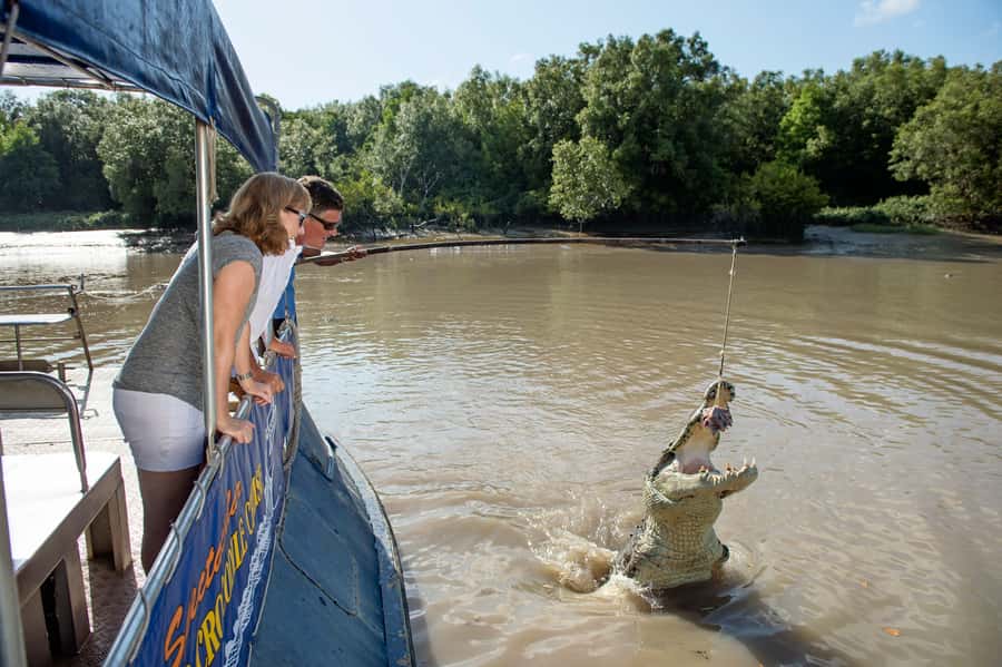 Darwin: Jumping Crocodile River Cruise with Shuttle Bus - How to make the most of the cruise