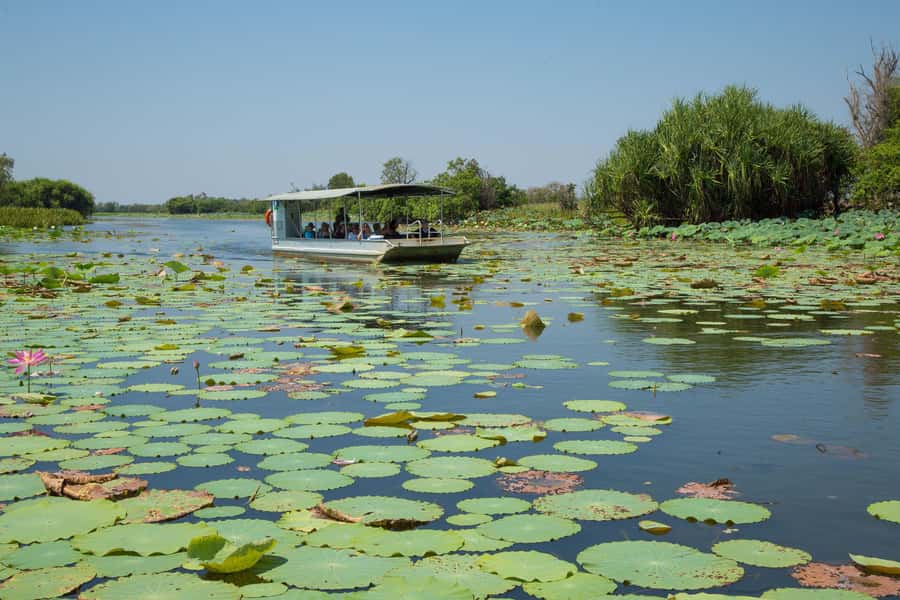 Darwin: Mary River Wetlands Wildlife Cruise with Lunch - Key points at a glance