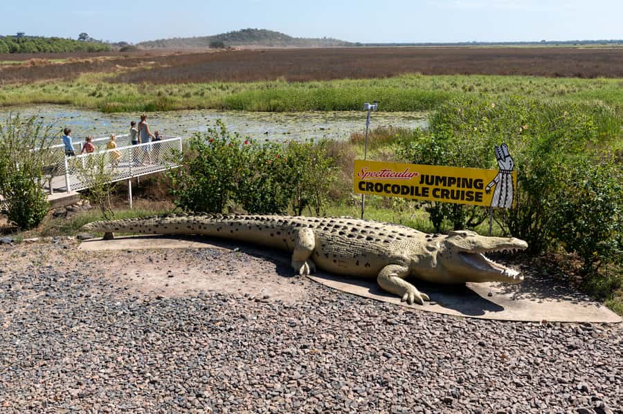 Darwin: Spectacular Jumping Crocodile Adelaide River Cruise - Looking beyond the crocodiles
