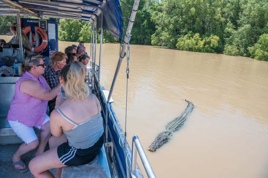 Darwin: Spectacular Jumping Crocodile Adelaide River Cruise - Reaching the cruise from Darwin