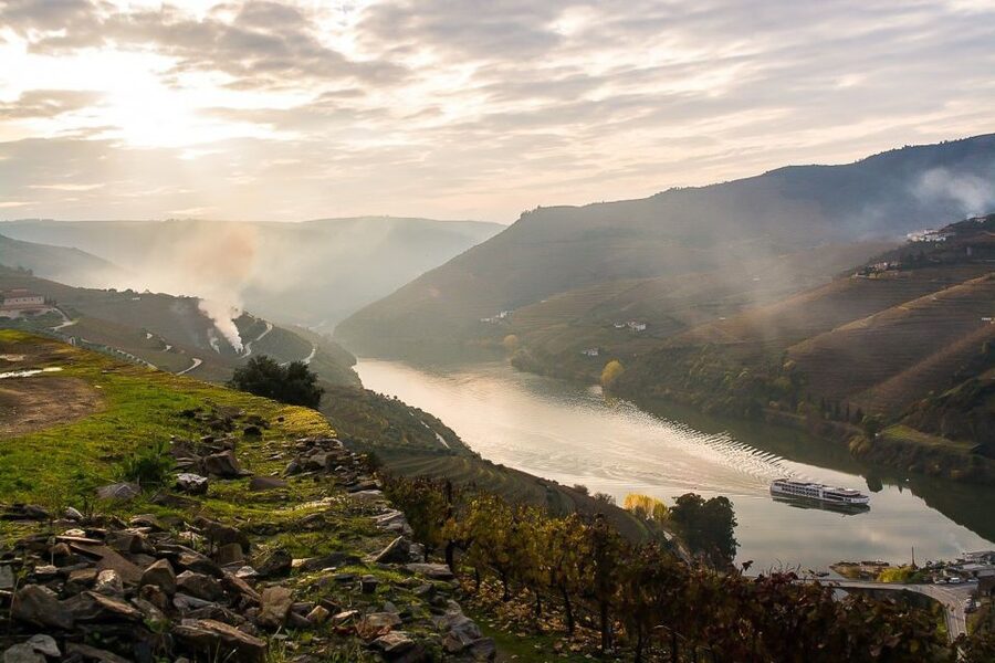 Day Cruise from Porto to Pinhão with Breakfast and Lunch - The bus back to Porto
