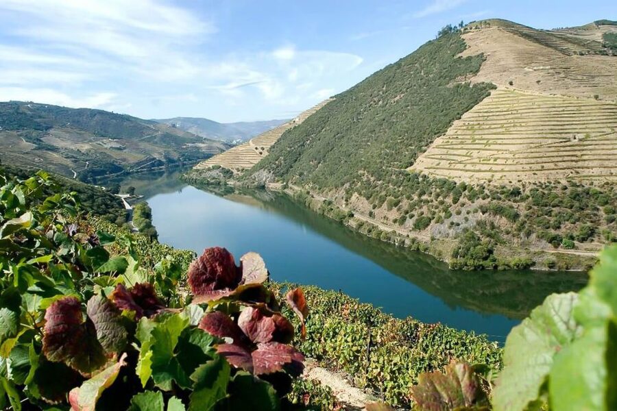 Day Cruise from Porto to Pinhão with Breakfast and Lunch - My verdict: book it for the river, not the tasting