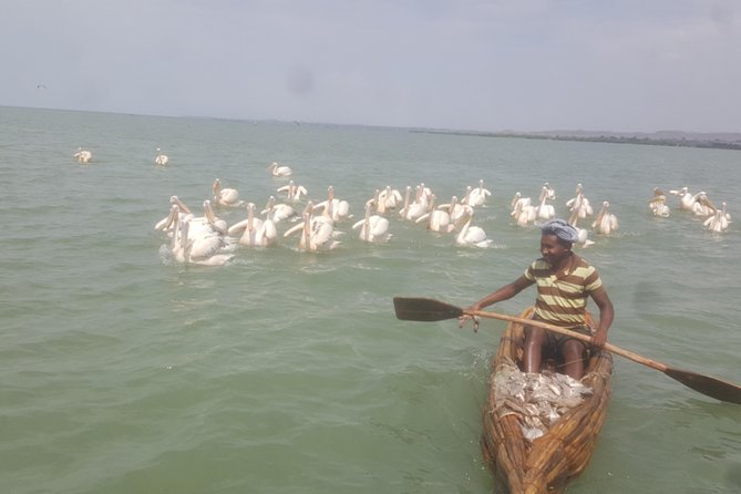 Day trip on Bahir dar. To visit lake tana monasteries and Blue Nile Falls. - Why this Bahir Dar day trip works