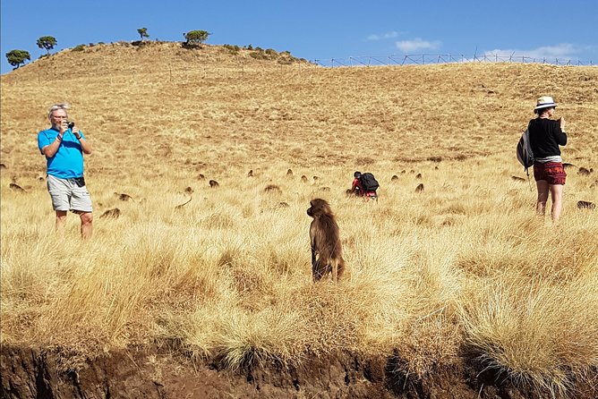 Debre Libanos Monastery and Jemma River Gorge - Day Tour from Addis Ababa - An Oromo family visit and Ethiopian coffee