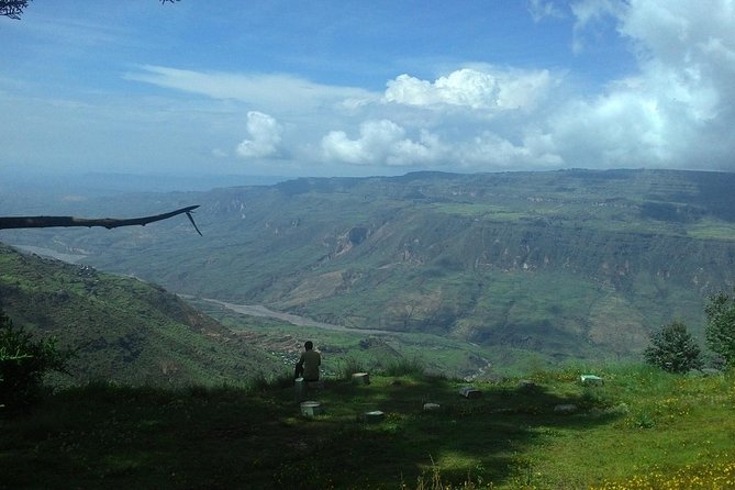 Debre Libanos Monastery and Jemma River Gorge - Day Tour from Addis Ababa - What the $272.77 group price really covers