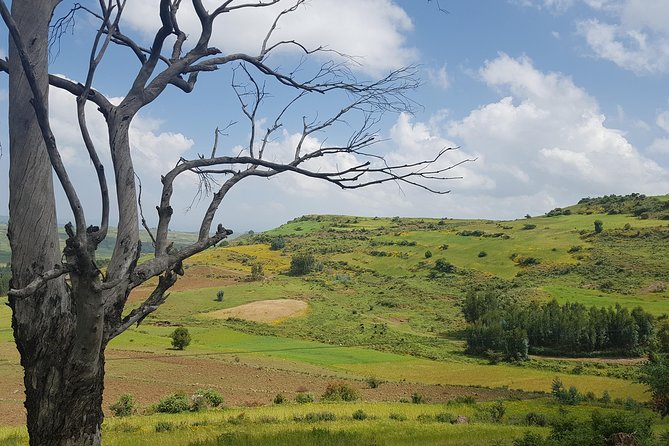 Debre Libanos Monastery and Jemma River Gorge - Day Tour from Addis Ababa - The Portuguese Bridge above Jemma River Gorge