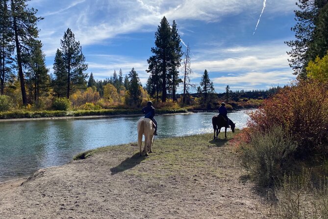 Deschutes River Horse Ride - The first hour through Ponderosa pine shade