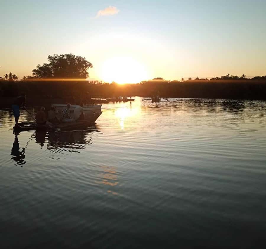 Diani Beach: Kongo River Sunset Experience in a canoe - Mangroves, palms, and the changing estuary