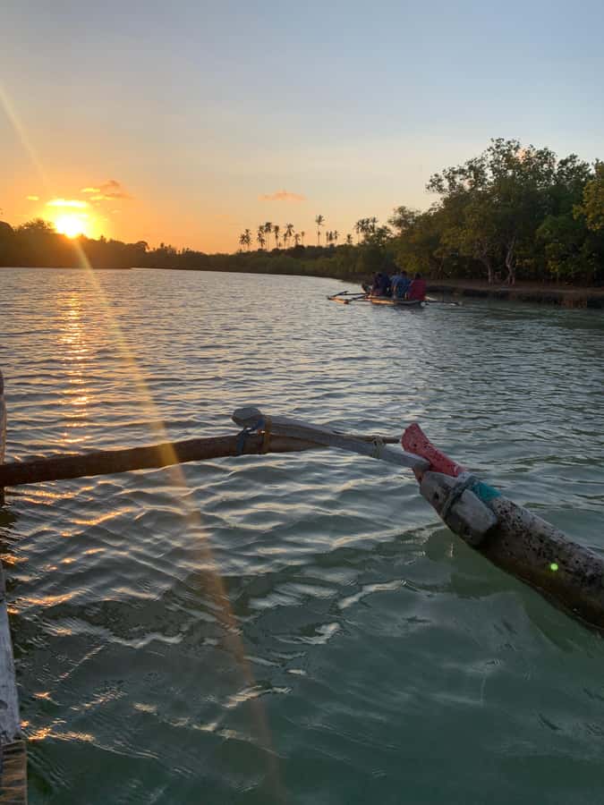 Diani: Sunset Canoe Tour along the River with Mangroves - Key points to know before you book