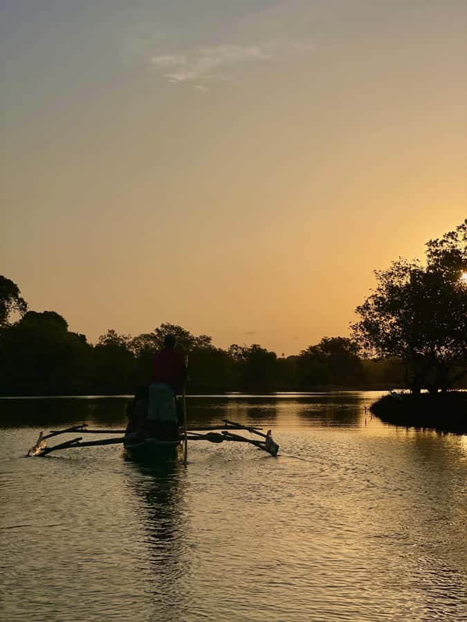 Diani: Sunset Canoe Tour along the River with Mangroves - Setting off from Kongo Mosque