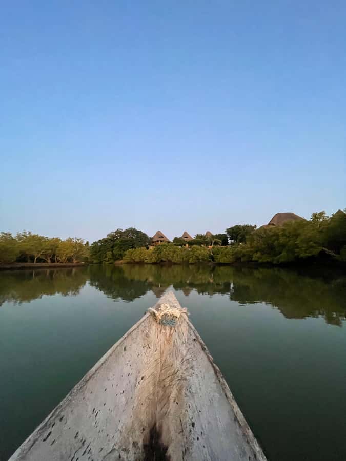 Diani: Sunset Canoe Tour along the River with Mangroves - What the two-hour route feels like