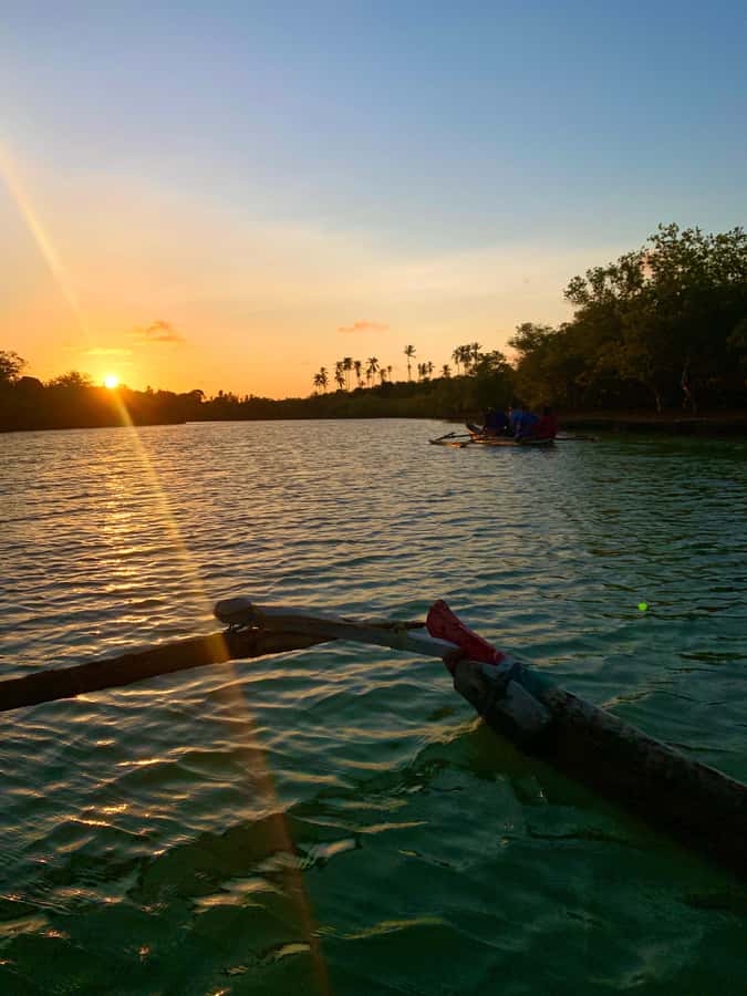 Diani: Sunset Canoe Tour along the River with Mangroves - Why the $28 price can be good value