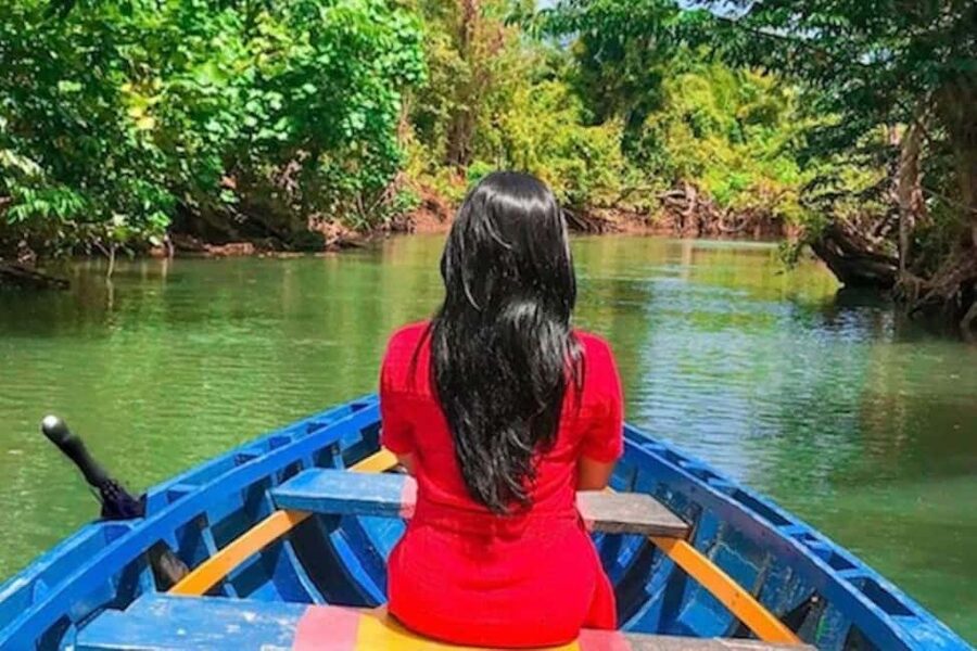 Dominica: Indian River Discovery & Beach Stop Tour - The West Coast drive adds variety
