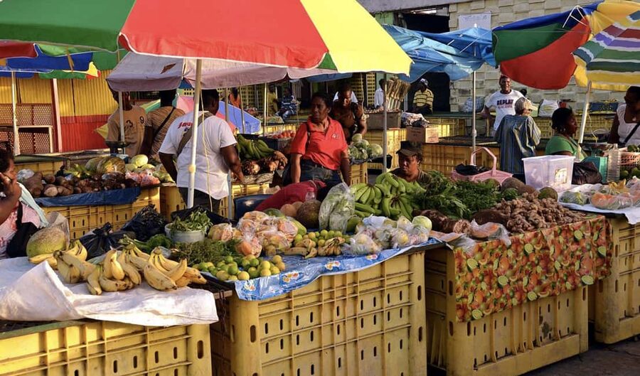 Dominica: Indian River Discovery & Beach Stop Tour - Who will enjoy this tour most?