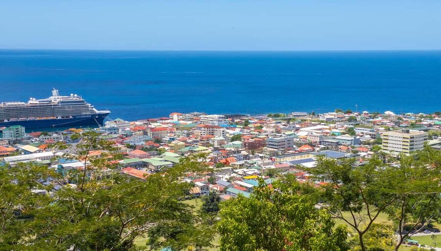Dominica: Indian River Discovery & Beach Stop Tour - Starting above Roseau at Morne Bruce