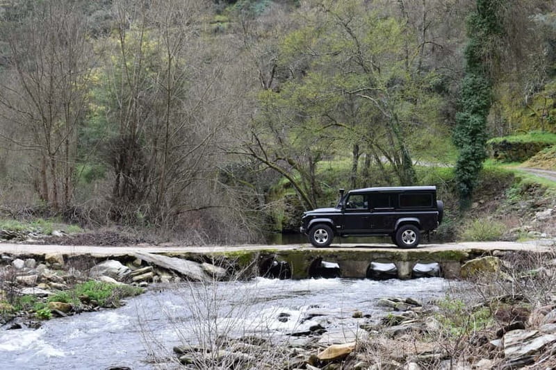 Douro offroad experience: visit to a winery and a picnic - Language, guide style, and private groups