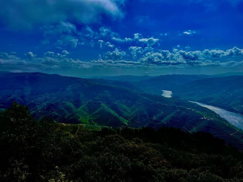 DOURO PREMIUM - Why this Douro day works well