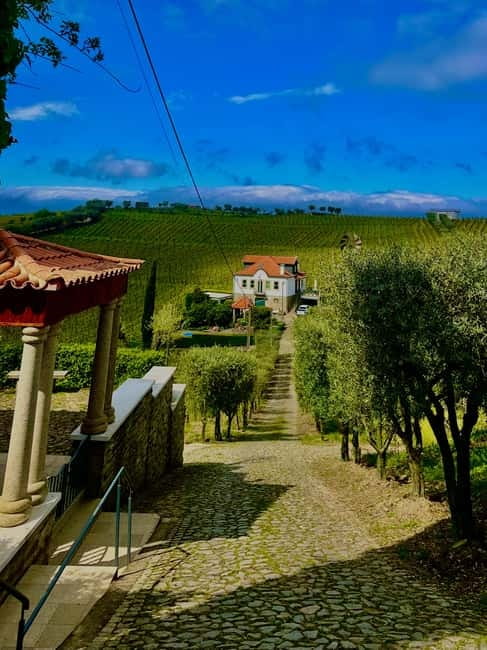 DOURO PREMIUM - Who will enjoy this experience most